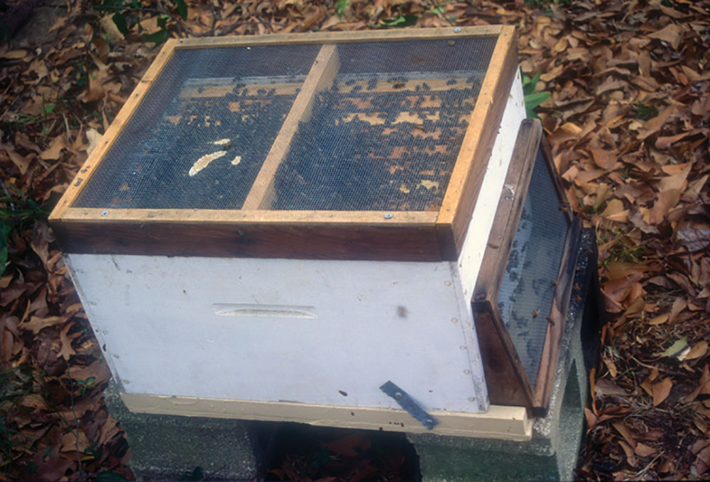 Temporarily Relocating Beehives