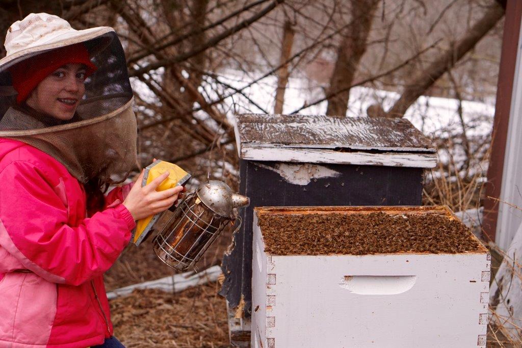CATCH THE BUZZ – Amara Orth of Council Bluffs, Iowa, is Focused on Studying the Habitats from Which Bees Collect Propolis.