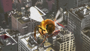 Urban Beekeeping…Maybe Not a Great Idea